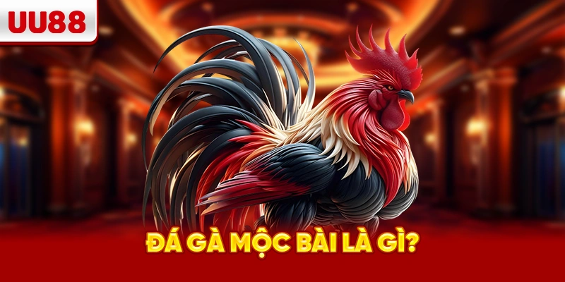 Đá gà Mộc Bài là gì?