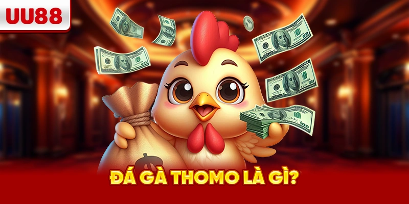 Đá gà Thomo là gì?