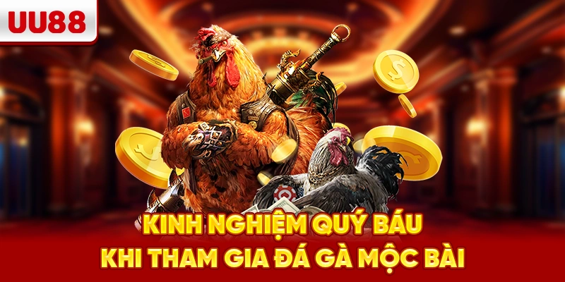 Kinh nghiệm quý báu khi tham gia Đá gà Mộc Bài