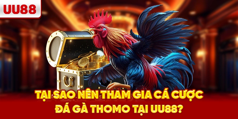 Tại sao nên tham gia cá cược đá gà Thomo tại UU88?