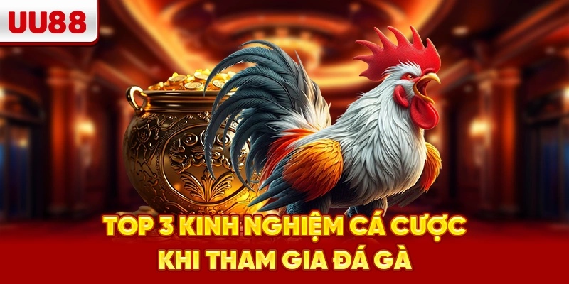 Top 3 kinh nghiệm cá cược khi tham gia đá gà